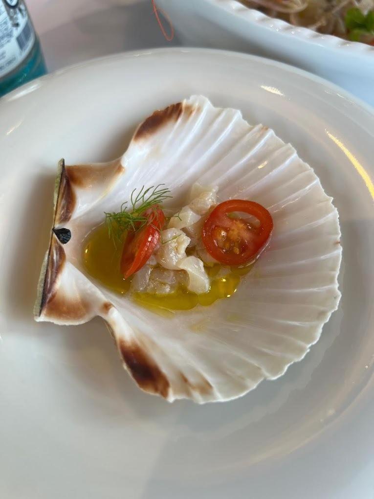 Stephen Seaside Hotel ديرمي المظهر الخارجي الصورة